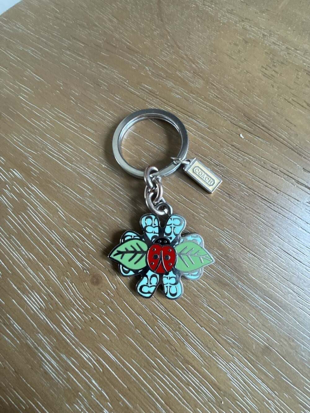 Coach Daisy Flower Ladybug Keychain Bag Charm